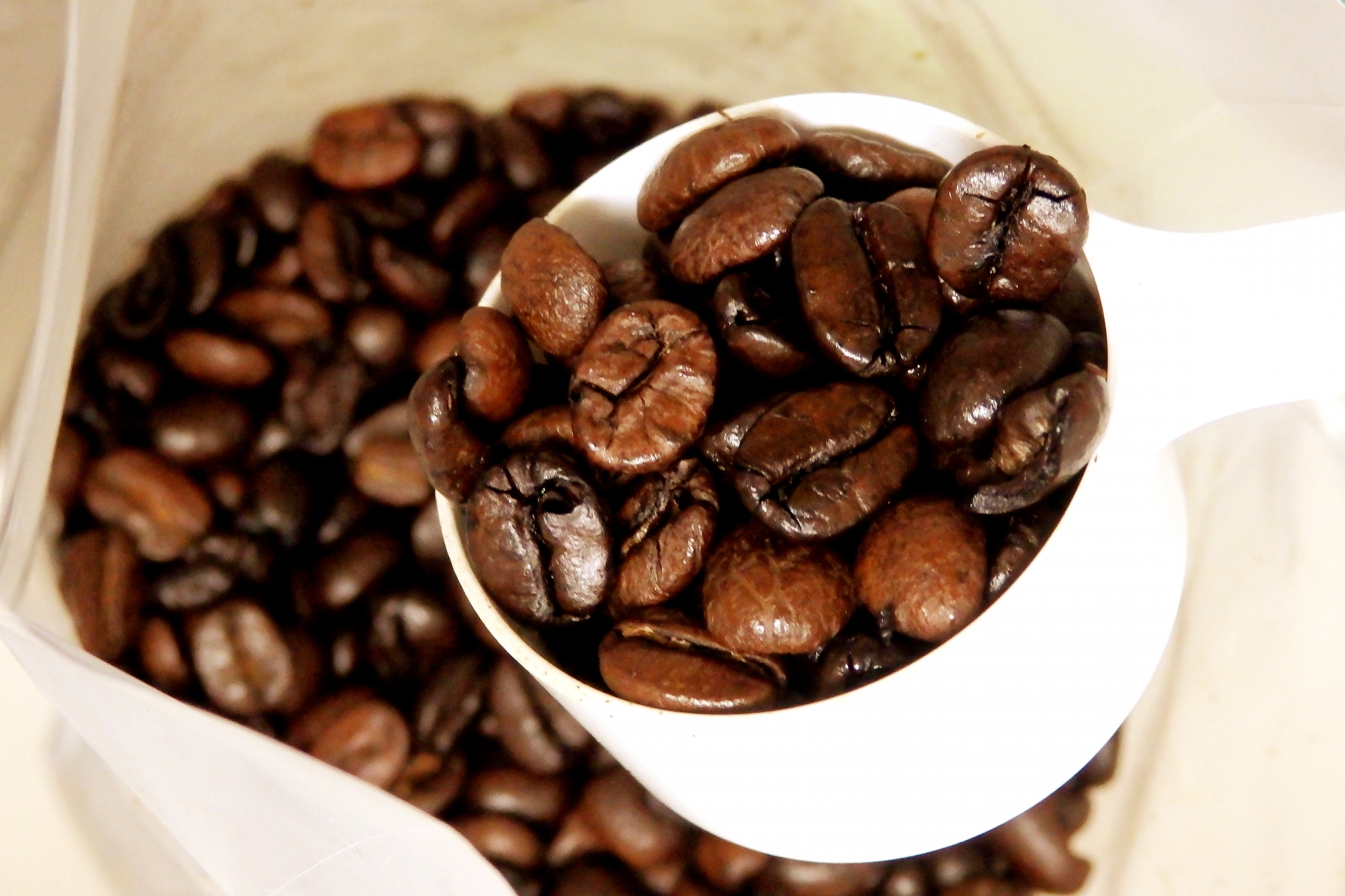 コーヒーの歴史